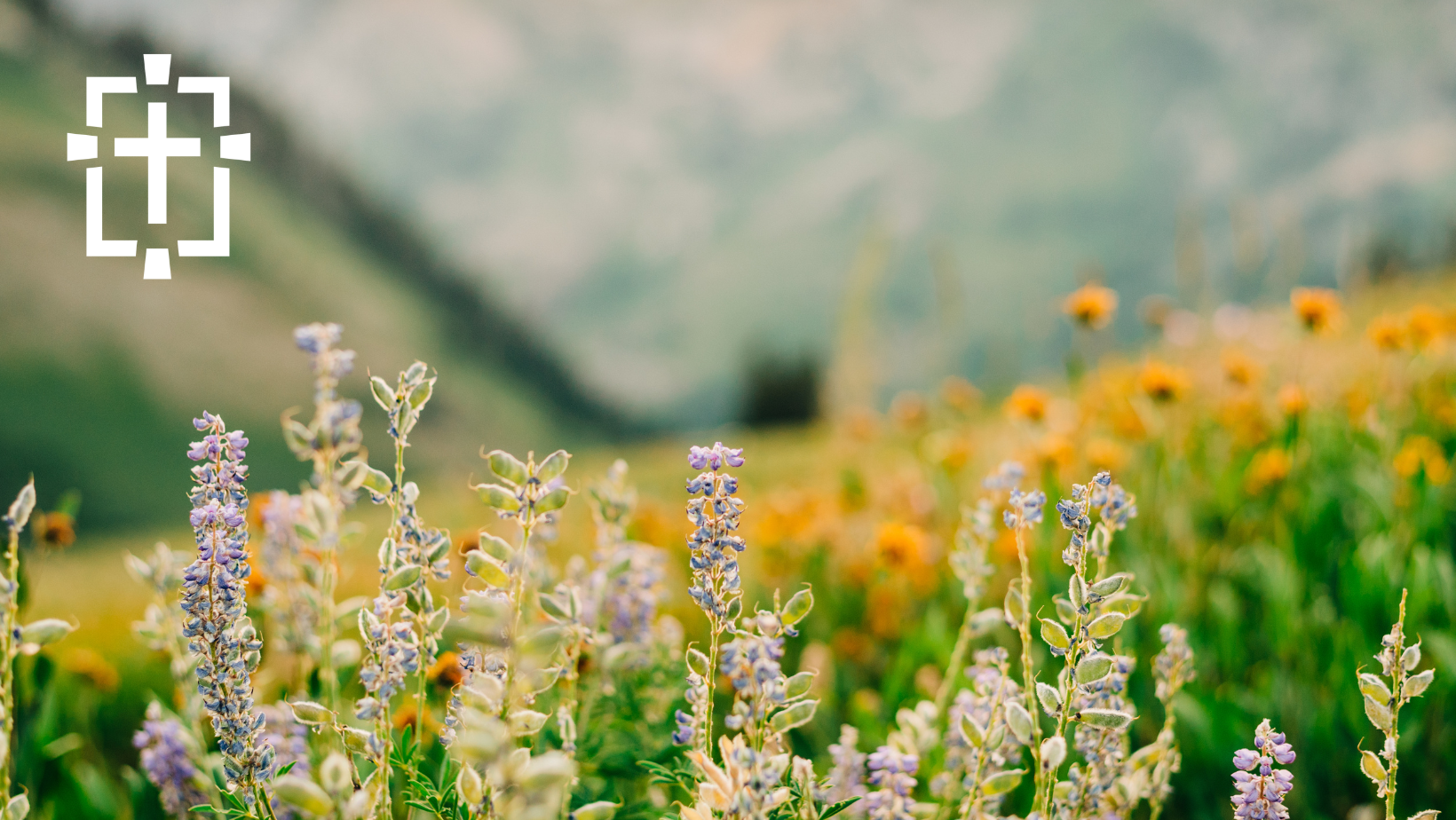 Blog | Mountain Christian Church